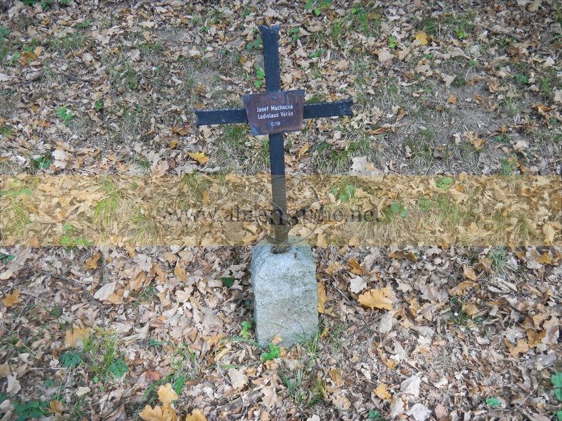 Linz Soldatenfriedhof132.JPG