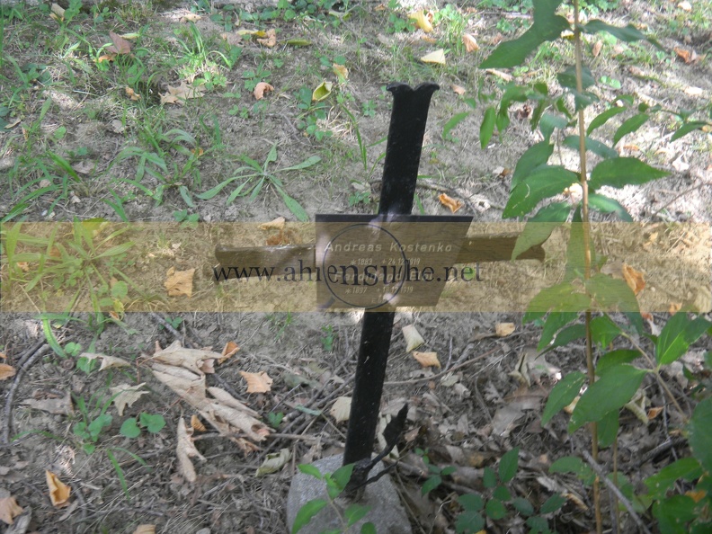 Linz Soldatenfriedhof029.JPG